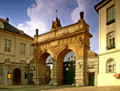 Bild6